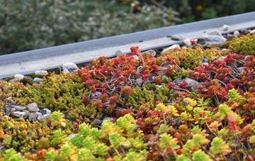 the cost of Burngreave green roof installation
